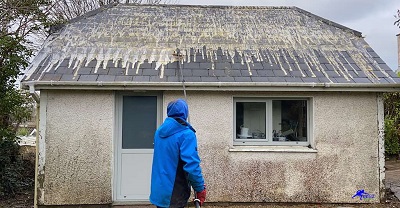 Michiana Roof Cleaning